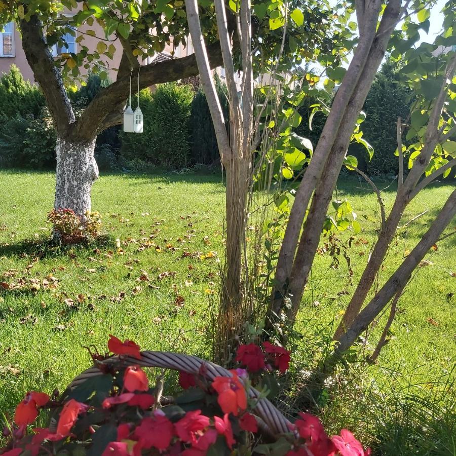 Nadmorskie Apartamenty Ustka Luaran gambar