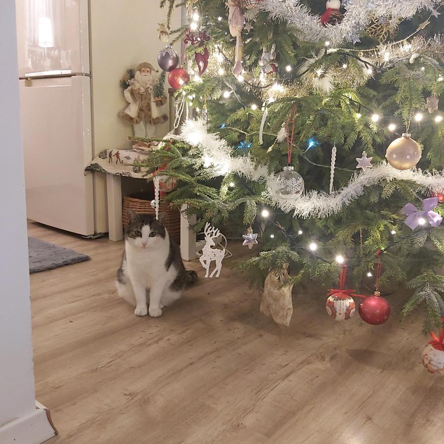 Nadmorskie Apartamenty Ustka Luaran gambar